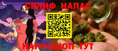 гашик Ливны